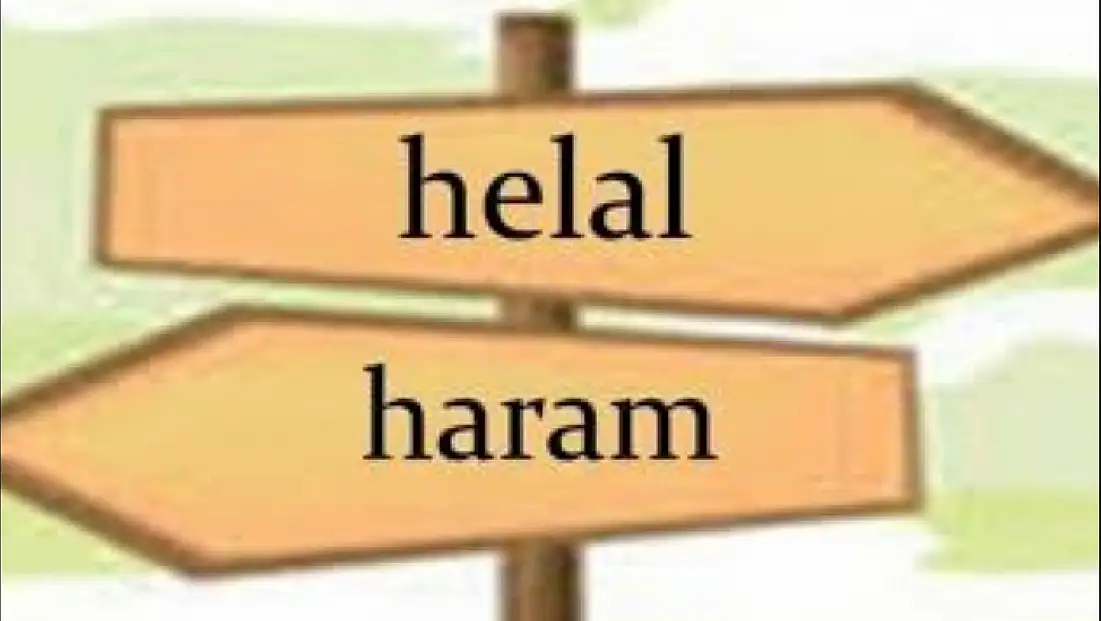 HARAMİ DERE'DE 40 HARAMİ KARARI; O İTE 50 000 LEVA VERİLSİN...