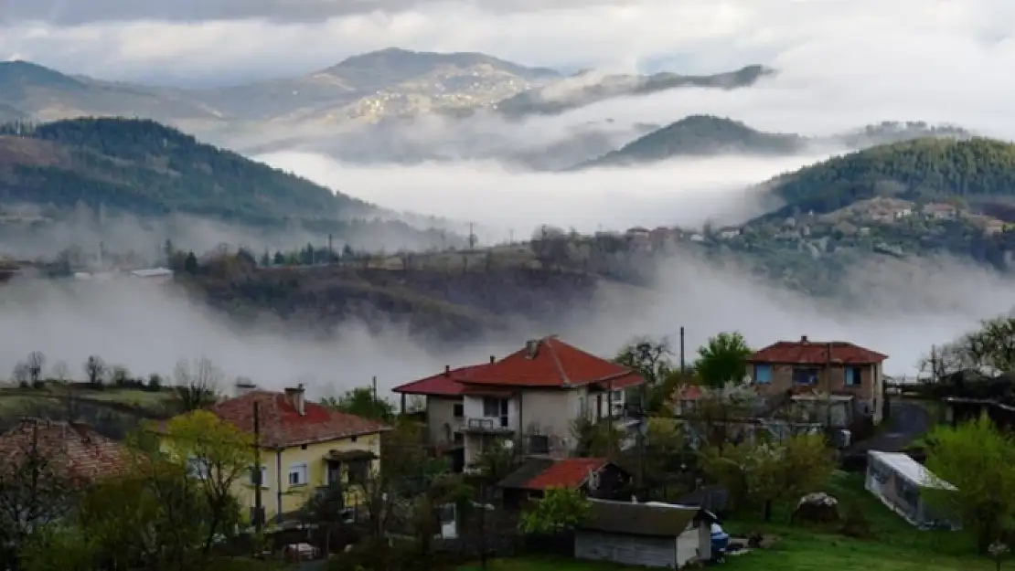 RODOPLU TÜRK YAZARLARIN BULGARİSTAN TÜRK EDEBİYATININ GELİŞMESİNDEKİ YERİ