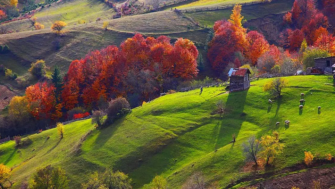 YAZISIZ TAŞLAR