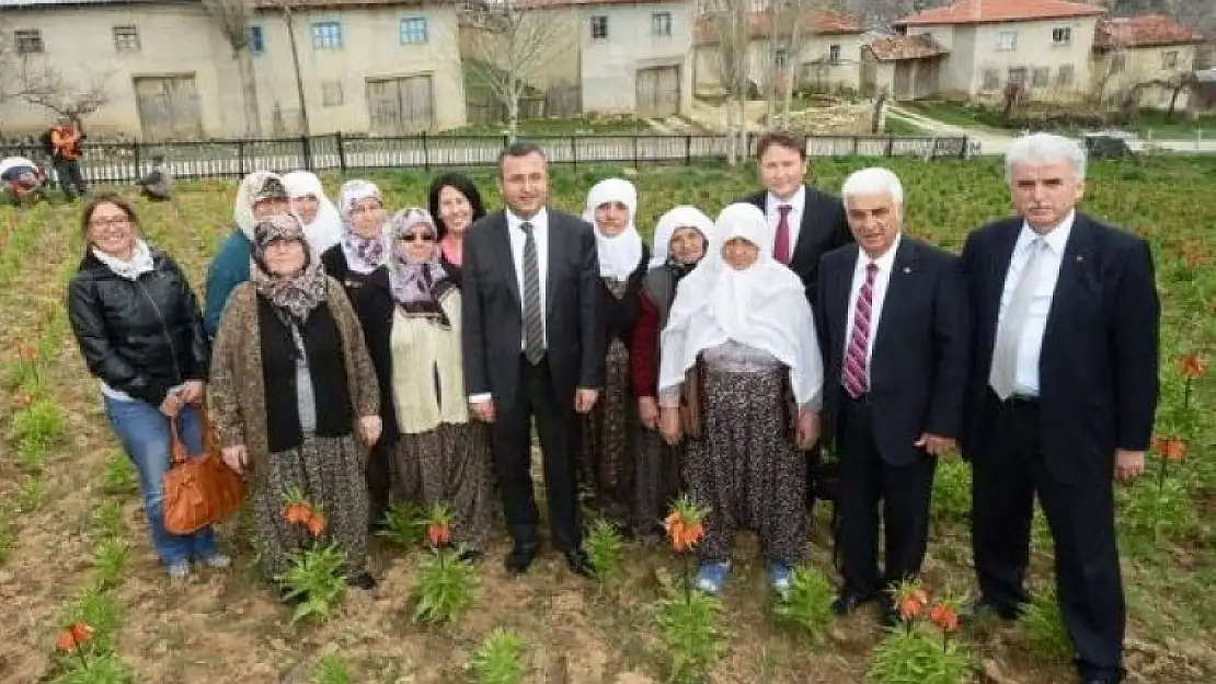 ŞAMANKÖY'DEN HAYRETTİN'E