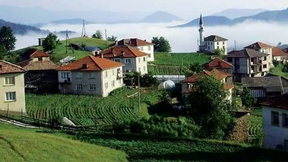 MEZARLIKTAN DUYULAN BAYKUŞ SESİ…