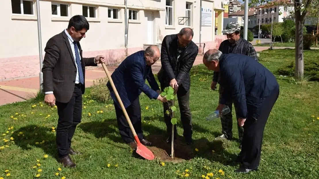 YALOVA'DAN ARDİNO'YA  ÇİÇEK GÖTÜRÜYOR