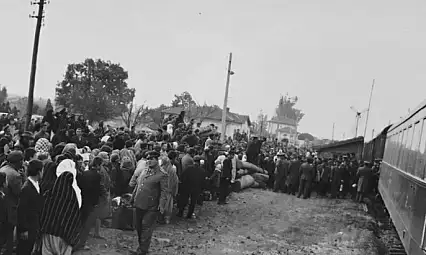 Kırım ve Bulgaristan'daki facialar unutulmadı