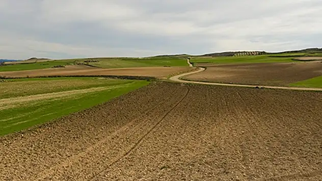 Azman Tarlası