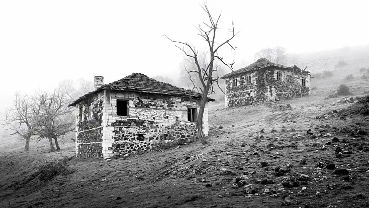 Kırmızı Sardunyalı Pencere