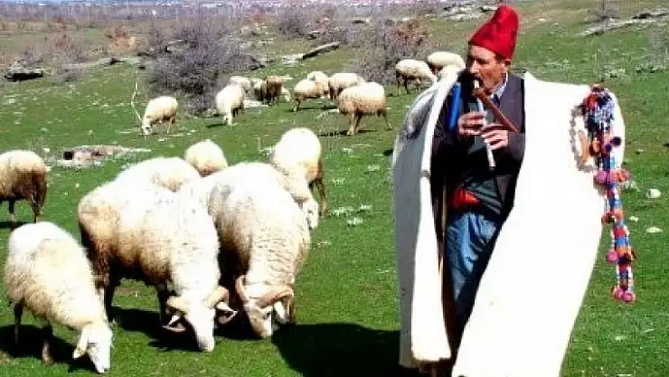ISTRANCALI ÇOBANIN  TABLET NOTLARI