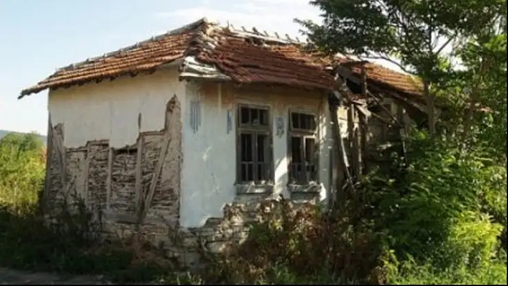 SİNEKLER NEREYE GİTTİ