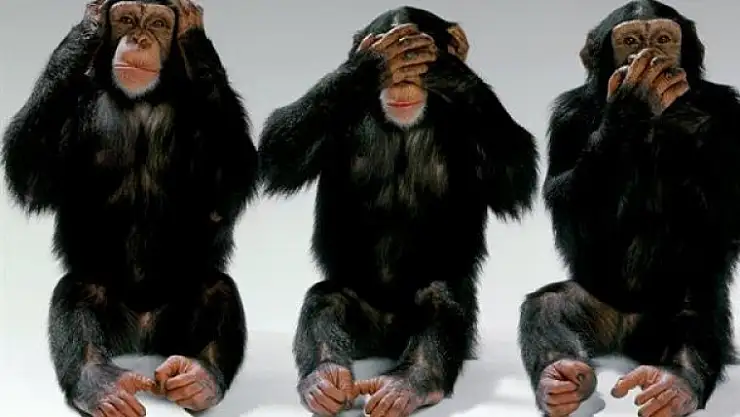 SANAL ALEM MAYMUNLARI VE BEYİN YAKAN YORUMLARI