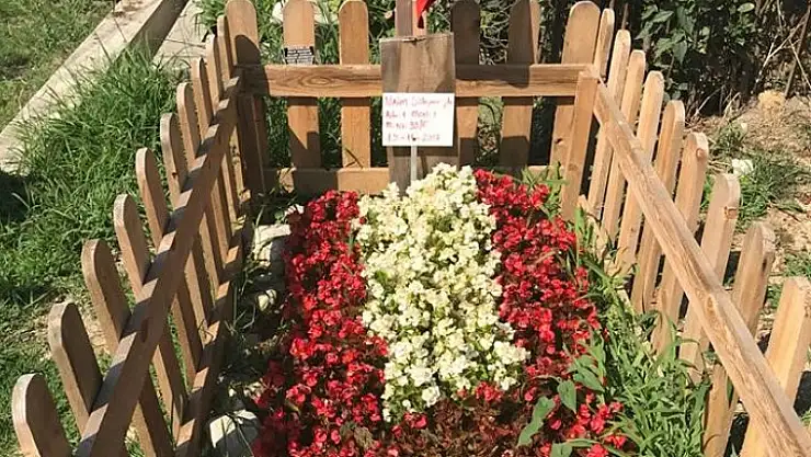 NAİM'İN BİR DİŞİ ALINDI, BACAĞI KESİLDİ…