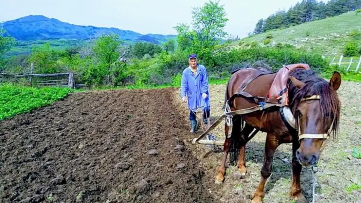 İÇİMİZDEKİ SES