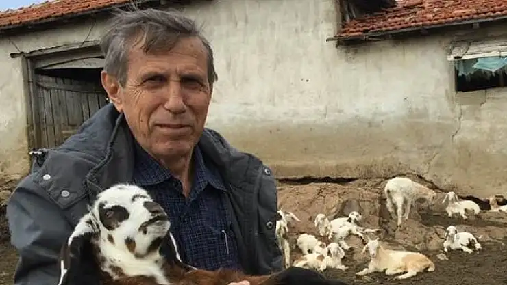 Istrancalı Çobanının Koronalı Hayalleri