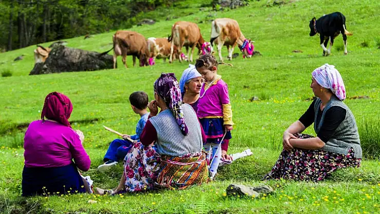 Şakiroğlu'nun İneği